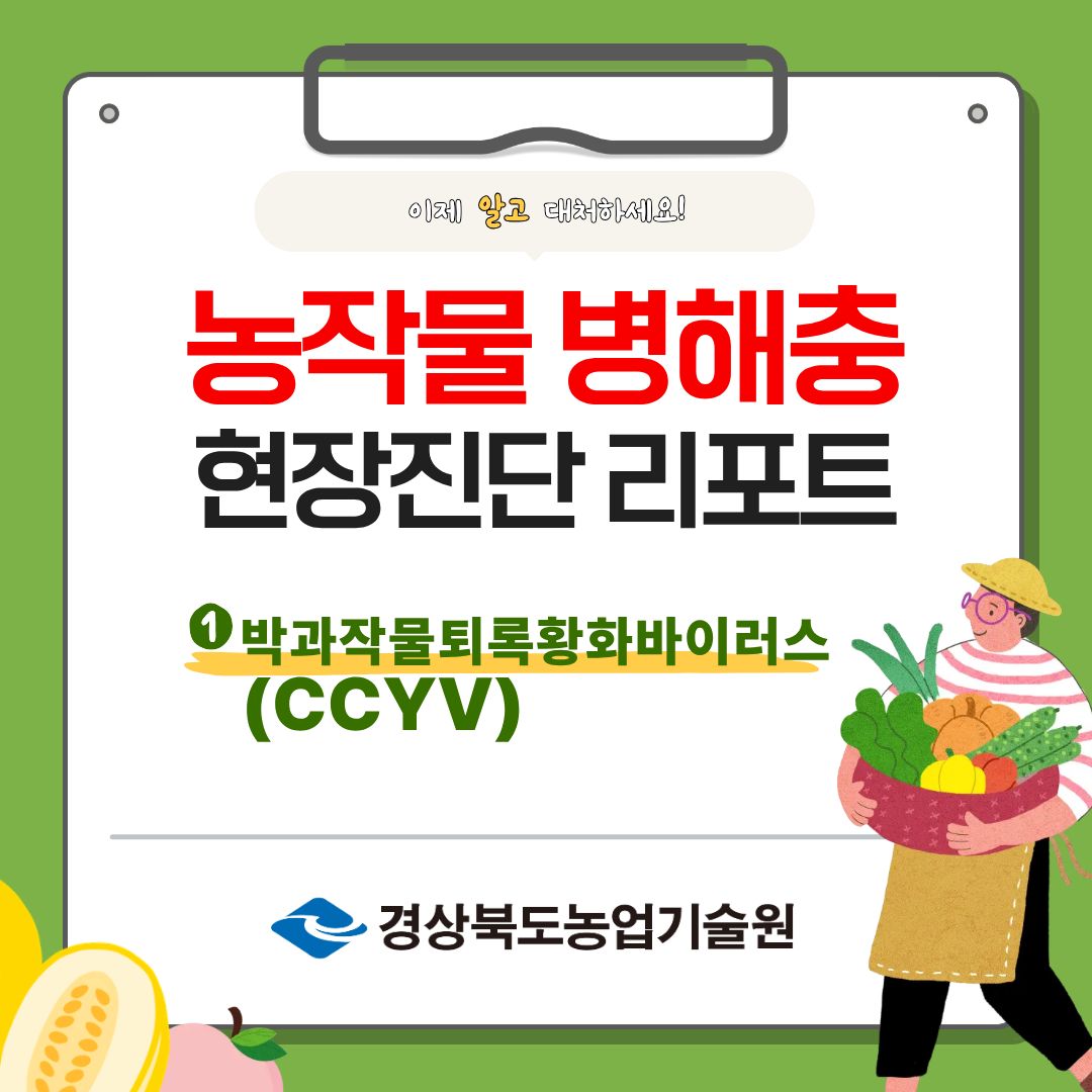 농작물 병해충 현장 진단 리포트 - 박과작물 퇴록황화바이러스
