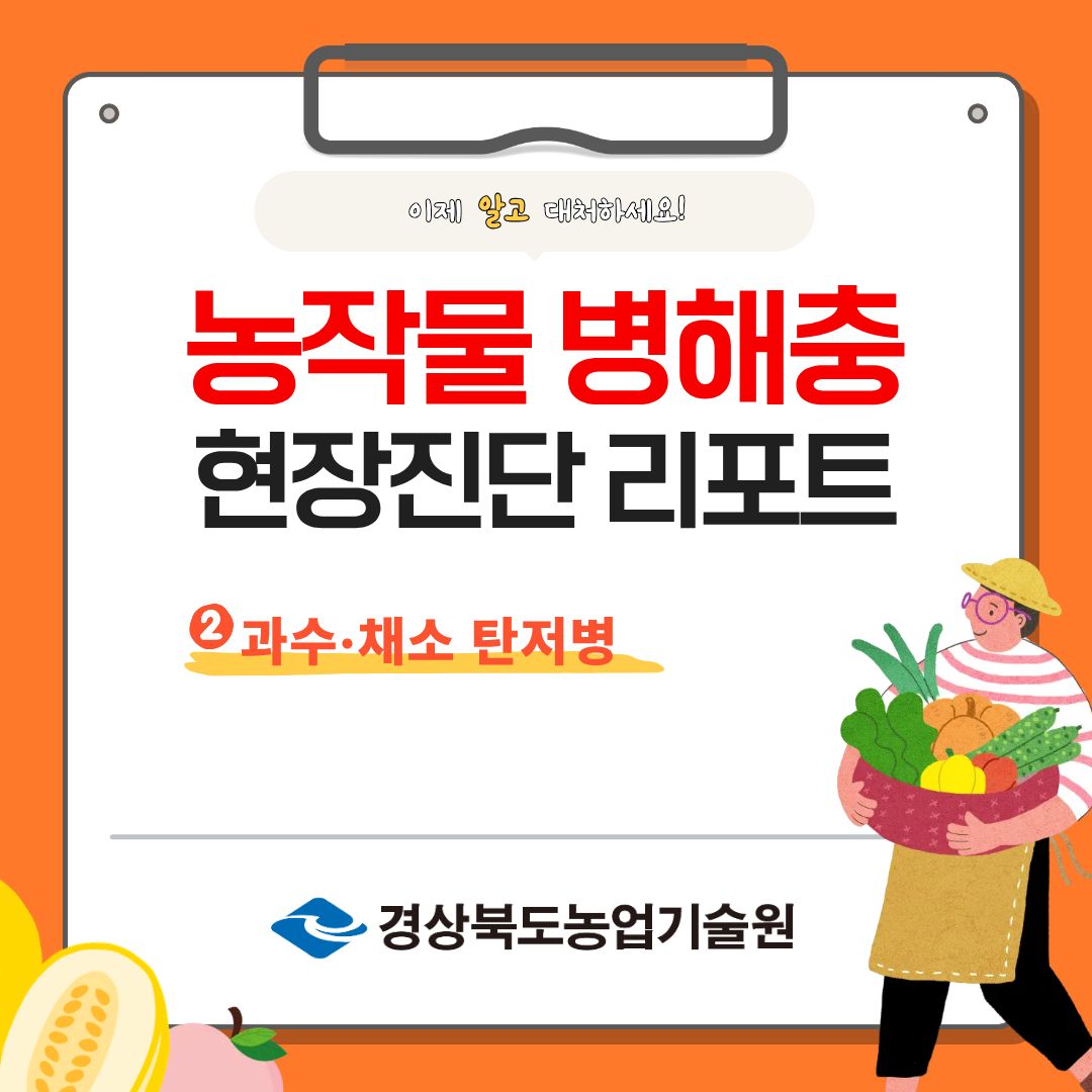 농작물 병해충 현장 진단 리포트 - 과수 채소 탄저병